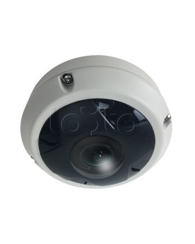 IP-камера видеонаблюдения купольная EverFocus ACE-KU89F в Северске IP-камеры Pintop.ru