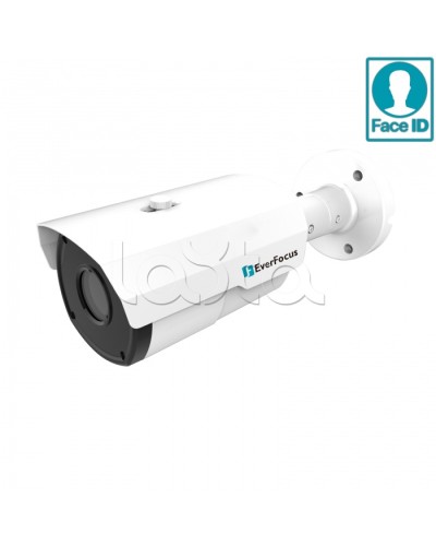 IP-камера видеонаблюдения в стандартном исполнении EverFocus EZN-2850 в Северске IP-камеры Pintop.ru