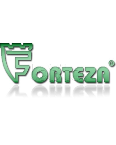 Плата сменная Forteza Плата БГр-4 в Северске Устройства защиты операционных процессоров (ОПС) Pintop.ru