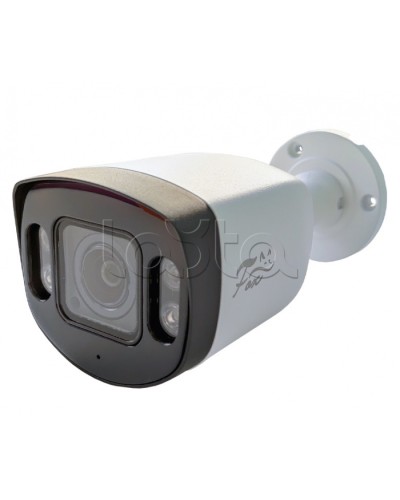 IP-камера видеонаблюдения в стандартном исполнении Fox FX-IPC-C40AP-IR H.265 AI в Северске IP-камеры Pintop.ru