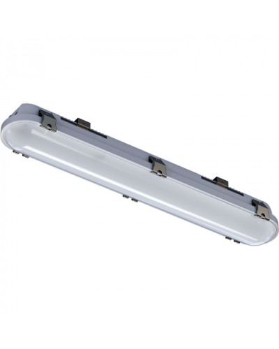 Светильник INNOLUX 14 701 ДСП-01-ПП-20-600-4К-IP65 в Северске Светильники Pintop.ru