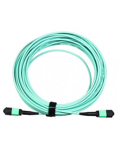 Сборка кабельная LANMASTER (LAN-12M-12M/OM3B-1.0) в Северске Коннекторы Pintop.ru