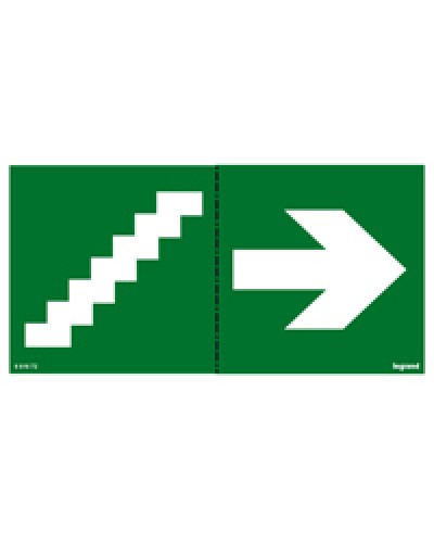 Пиктограмма 100х200 лестница стрелка Legrand 661672 в Северске Дополнительное оборудование для ОПС Pintop.ru