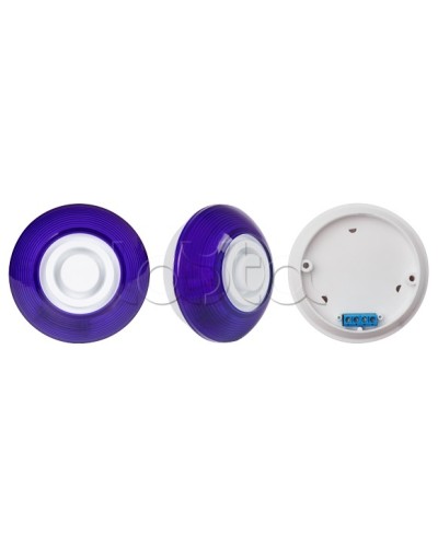 Оповещатель комбинированный SLT Марс 12-КП (строб, син) в Северске Оповещатели Pintop.ru