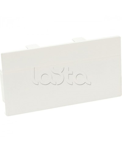 Заглушка торцевая для кабельного канала 100х50 SPL 100002S в Северске Аксессуары для кабель-канала Pintop.ru