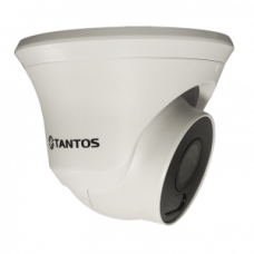 IP-видеокамера в купольном исполнении уличная Tantos TSi-Beco45FP