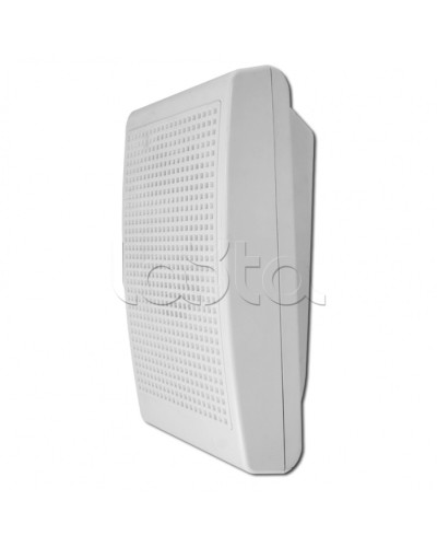 Модуль акустический С-Т-100 3/5 (ИП Раченков А.В.) в Северске Оповещатели Pintop.ru