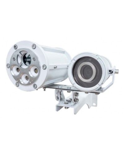 Извещатель пожарный пламени взрывозащищённый Спектрон-901-Exd-А-В-IP-HART в Северске Пожарные извещатели Pintop.ru