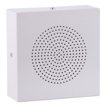 Громкоговоритель настенный вандалозащищенный ROXTON WS-06T