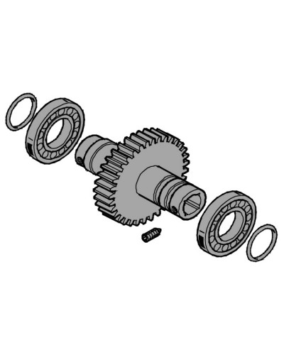 Вал выходной EMEGA Came 119RIE062 в Северске Запчасти для шлагбаумов и автоматики Pintop.ru