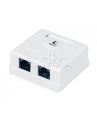 Розетка компьютерная RJ-45, категория 5e, двойная, внешняя, Dual IDC Cabeus WS-8P8C-Cat.5e-2 в Северске Розетки компьютерные и телефонные Pintop.ru