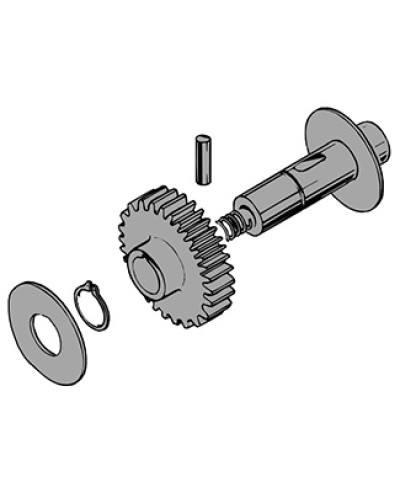 Вал в сборе C100 Came 119RIC011 в Северске Запчасти для шлагбаумов и автоматики Pintop.ru