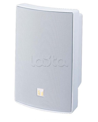 Громкоговоритель универсальный двухполосный TOA BS-1030W в Северске Системы оповещения и трансляции TOA Pintop.ru