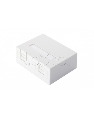 Настенная коробка 2-портовая со шторками, белый Eurolan (12B-04-02WT-2) в Северске Розетки компьютерные и телефонные Pintop.ru