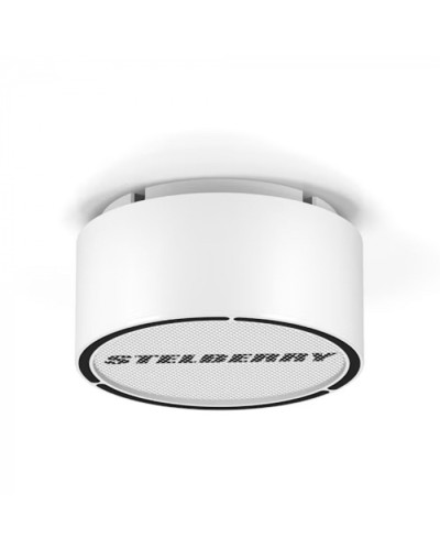 Громкоговоритель STELBERRY F-306W в Северске Акустические системы Pintop.ru