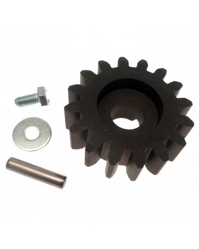 Шестерня ведущая BZ Came 119RIBZ005 в Северске Запчасти для шлагбаумов и автоматики Pintop.ru