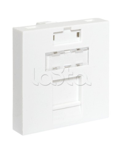 Вставка розеточная TERACOM PRO 45x45мм формат Mosaic на 1 модуль Keystone белая EKF (TRP-INS-MOS-2M1P-WH) в Северске Розетки компьютерные и телефонные Pintop.ru