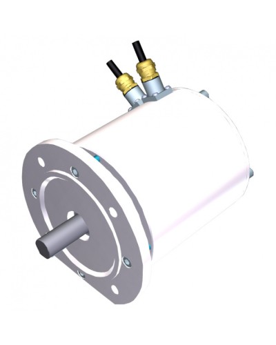 Электродвигатель FROG-MS Came 119RIA081 в Северске Запчасти для шлагбаумов и автоматики Pintop.ru