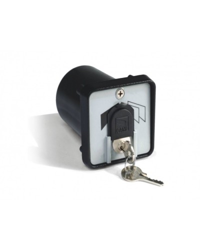 Ключ-выключатель с защитой цилиндра, встраиваемый Came 001SET-K в Северске Запчасти для шлагбаумов и автоматики Pintop.ru