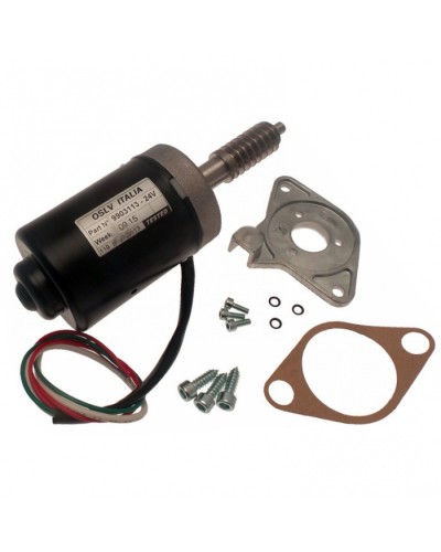 Электродвигатель BX-243 в сборе Came 119RIBX046 в Северске Запчасти для шлагбаумов и автоматики Pintop.ru