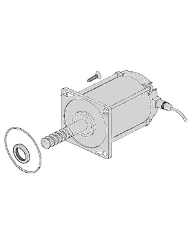 Электродвигатель Came 119RIA025 в Северске Запчасти для шлагбаумов и автоматики Pintop.ru