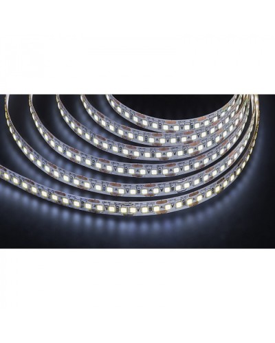 Лента светодиодная Navigator 14 455 NLS-2835CW168-16-IP20-12V в Северске Источники света(Лампы) Pintop.ru