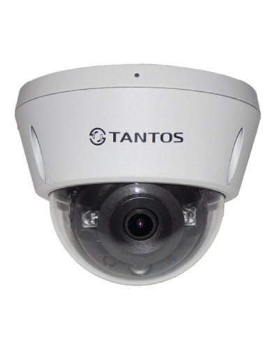 IP-видеокамера в купольном исполнении Tantos TSi-Vn253VZ в Северске IP-камеры Pintop.ru